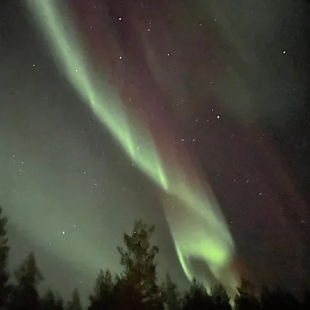 Kuura * Rovaniemi